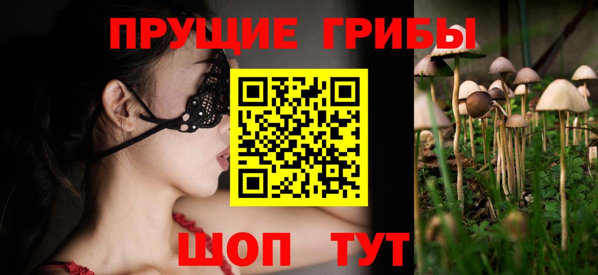 Псилоцибиновые грибы ЛСД Кострома
