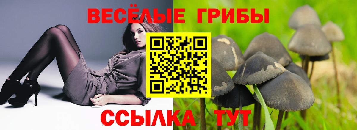 Кострома  Галлюциногенные грибы Psilocybine cubensis  Вход с VPN 